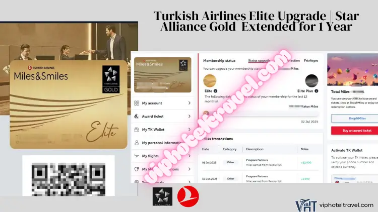 Turkish Airlines Elite StatusStar Alliance Gold Upgrade Fly Once Extend to 1 Year
