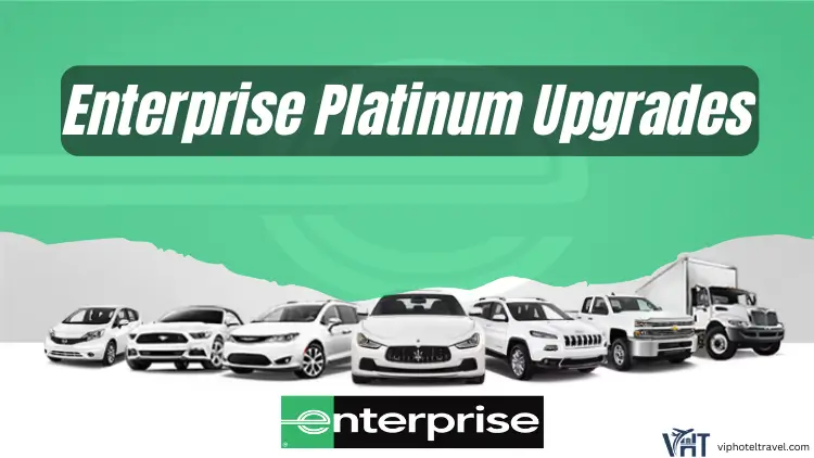 Enterprise Platinum Upgrade for 2 Years 2 enterprise-platinum-upgrades-for-2-year-2