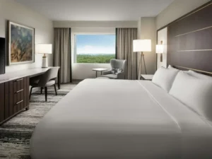 Signia by Hilton Orlando-6