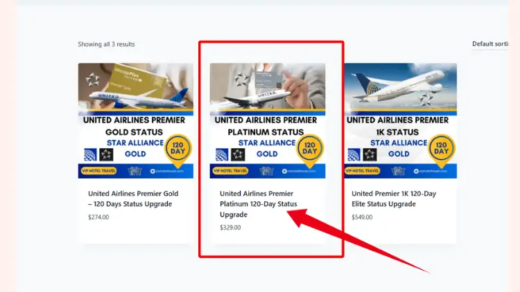 united-premier-platinum-fast-track-2
