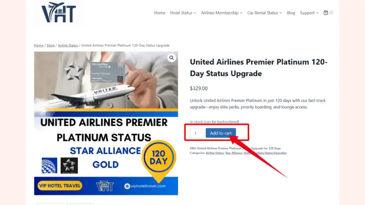 united-premier-platinum-fast-track-3